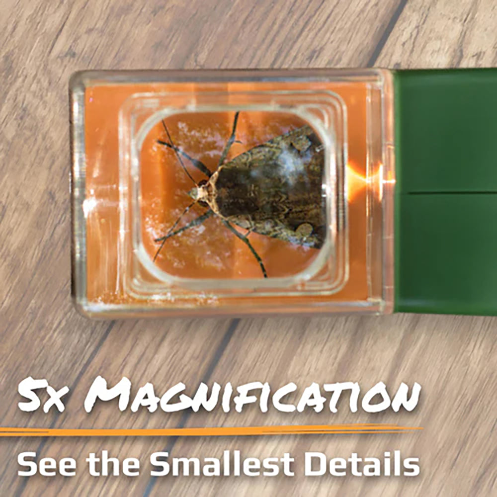 Carson Optical Bug Catcher