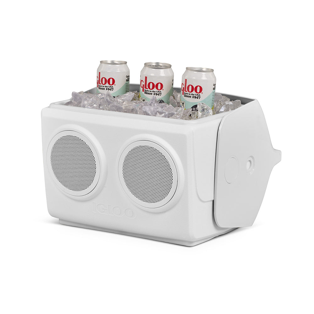 Igloo Kooltunes Cooler