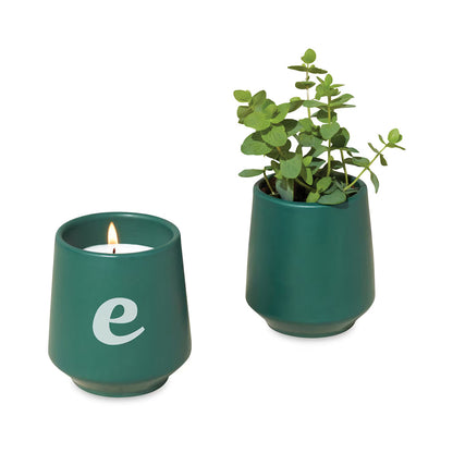 Modern Sprout Rooted Candle