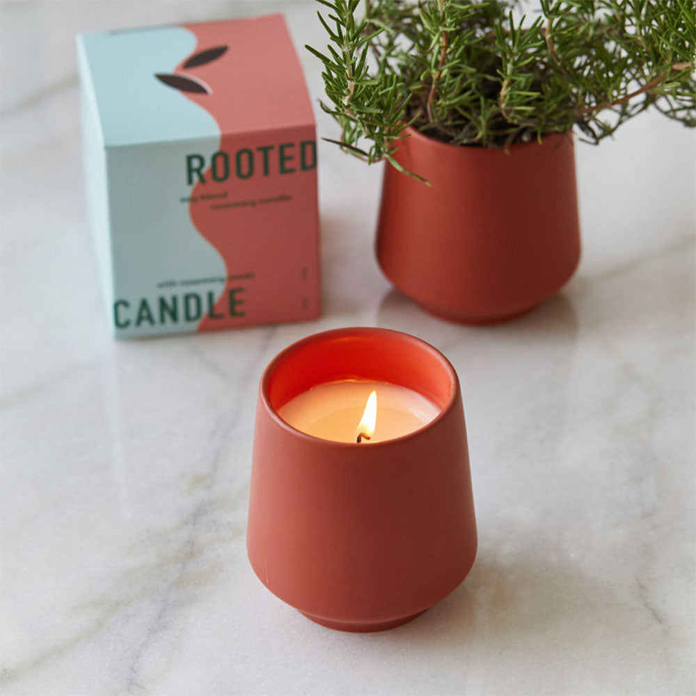 Modern Sprout Rooted Candle
