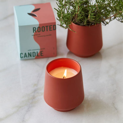 Modern Sprout Rooted Candle