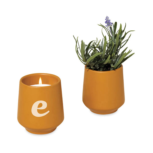 Modern Sprout Rooted Candle