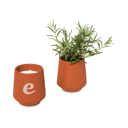 Modern Sprout Rooted Candle