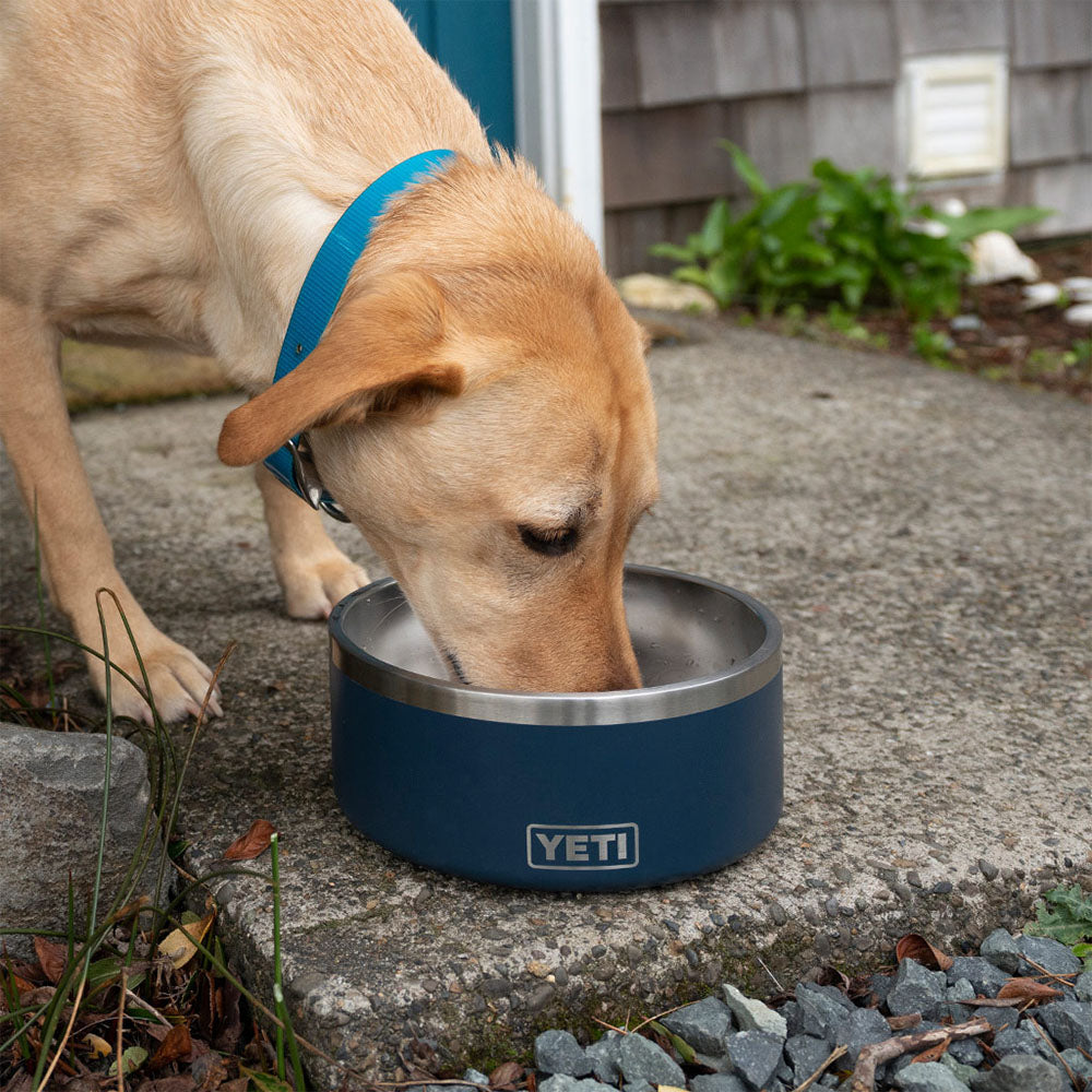 YETI Dog Bowl